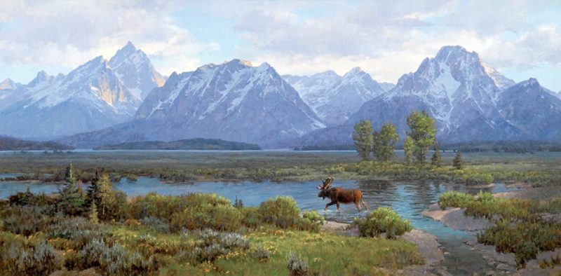 Jim Wilcox art | Moose Heaven giclée print on canvas of a bull moose wandering Willow Flats in Grand Teton National Park