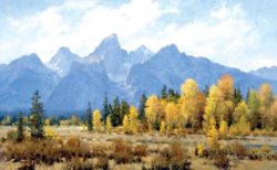 Jim Wilcox art | Peak of Fall giclée print on canvas of the Grand Tetons with an explosion of fall colors along the Snake River in Grand Teton National Park