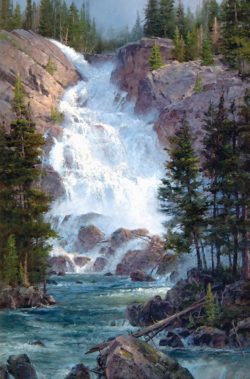 Hidden Falls - What A Rush art in Grand Teton National Park by Jim Wilcox