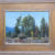 Jim Wilcox art of trees in Grand Teton National Park